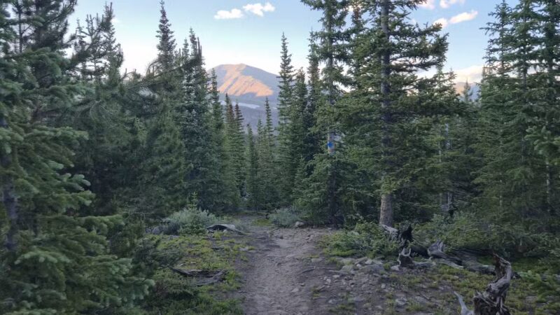 Pika Trail Trailhead - Fairplay, CO