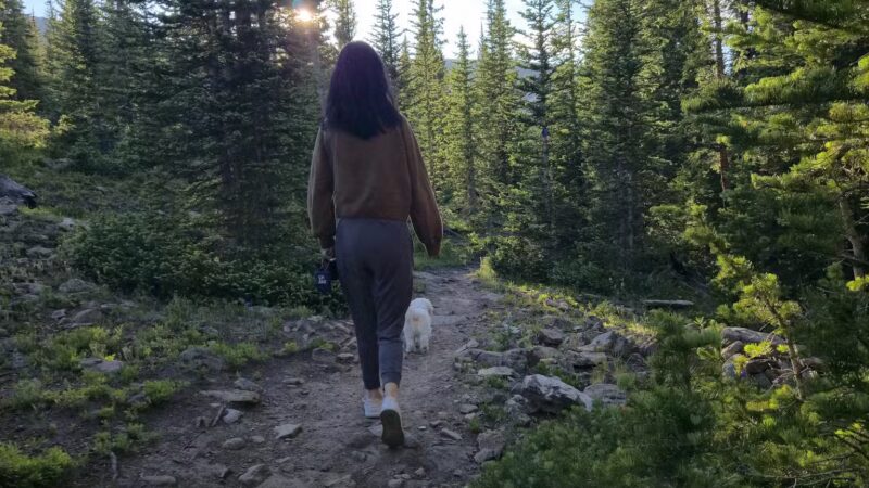 Pika Trail Trailhead - Fairplay, CO