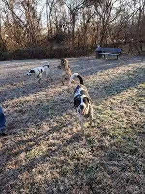 Duff McDuff Green Memorial Park - Falmouth, VA