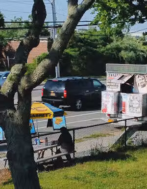 Breezy Dogs Food Truck - Far Rockaway, NY