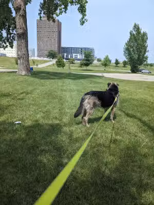 Dike East Dog Park - Fargo, ND