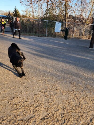 White Sands Dog Park - Faribault, MN