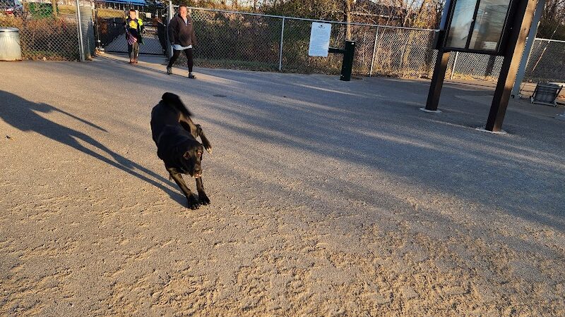 White Sands Dog Park - Faribault, MN