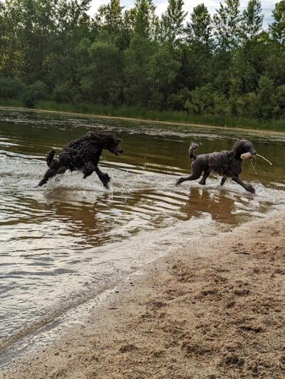 White Sands Dog Park - Faribault, MN