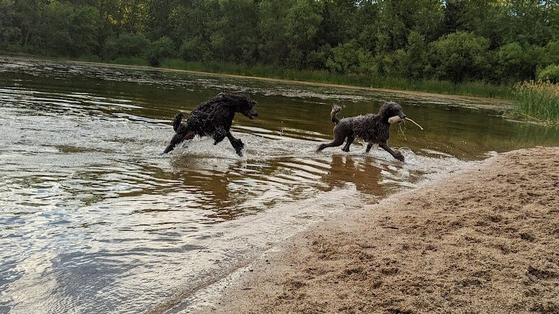 White Sands Dog Park - Faribault, MN