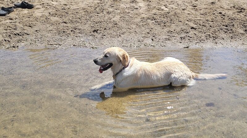 White Sands Dog Park - Faribault, MN
