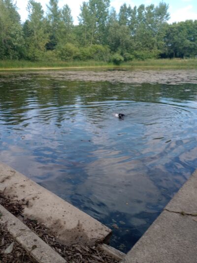 White Sands Dog Park - Faribault, MN