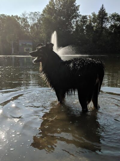 White Sands Dog Park - Faribault, MN