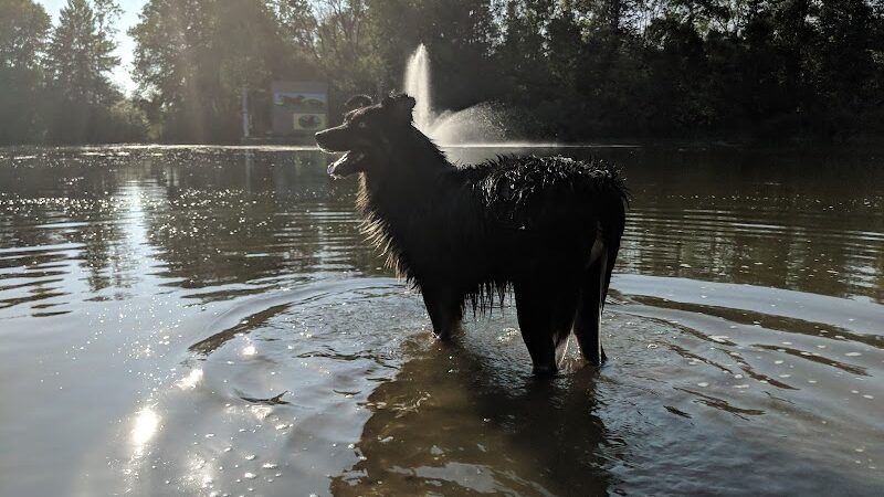 White Sands Dog Park - Faribault, MN