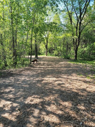 White Sands Dog Park - Faribault, MN