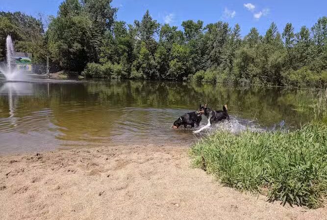 White Sands Dog Park - Faribault, MN