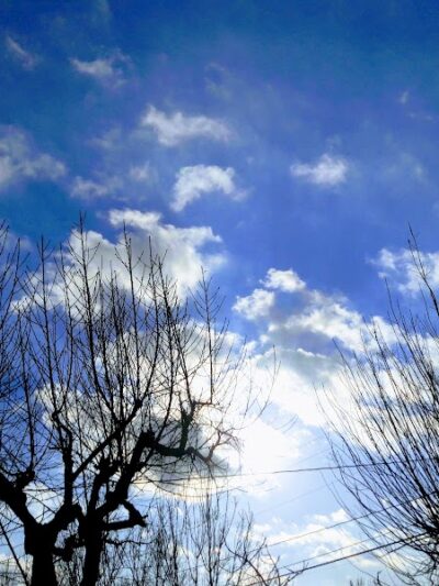 Armstrong Park - Farmersville, CA