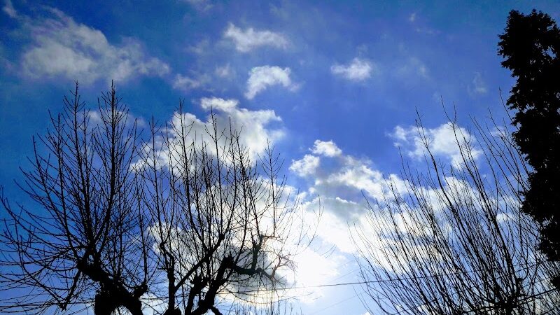 Armstrong Park - Farmersville, CA