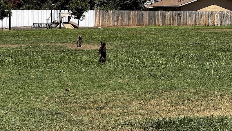 Armstrong Park - Farmersville, CA