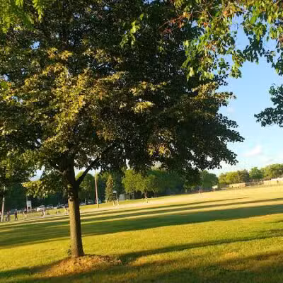 Drake Park (Farmington) - Farmington,