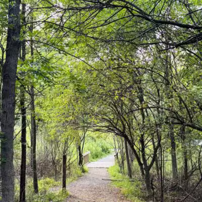 Heritage Park - Farmington Hills,