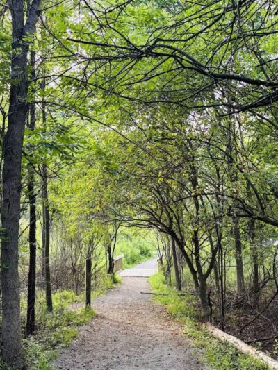Heritage Park - Farmington Hills,