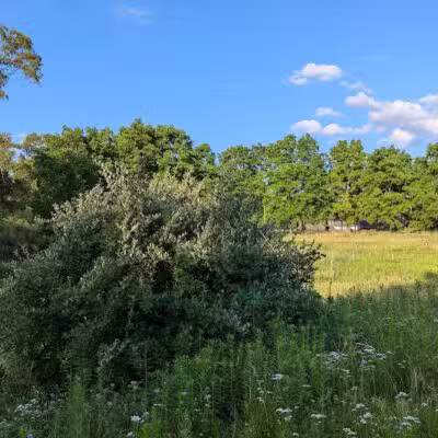 Heritage Park - Farmington Hills,
