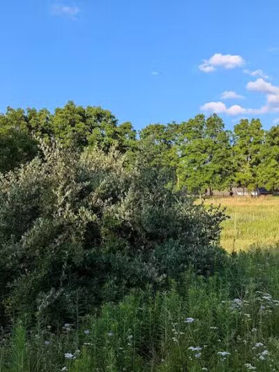 Heritage Park - Farmington Hills,