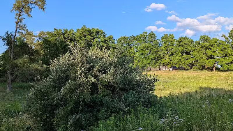 Heritage Park - Farmington Hills,