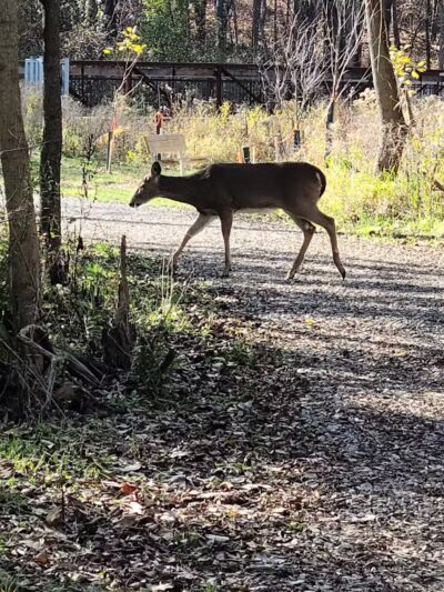 Heritage Park - Farmington Hills,