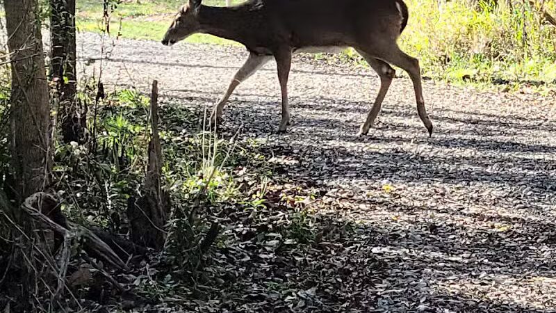 Heritage Park - Farmington Hills,