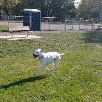 William Grace Dog Park - Farmington Hills, MI