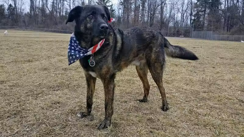 William Grace Dog Park - Farmington Hills, MI