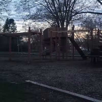 William Grace Dog Park - Farmington Hills, MI
