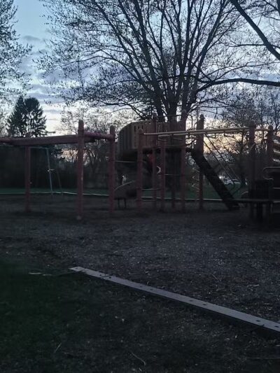 William Grace Dog Park - Farmington Hills, MI