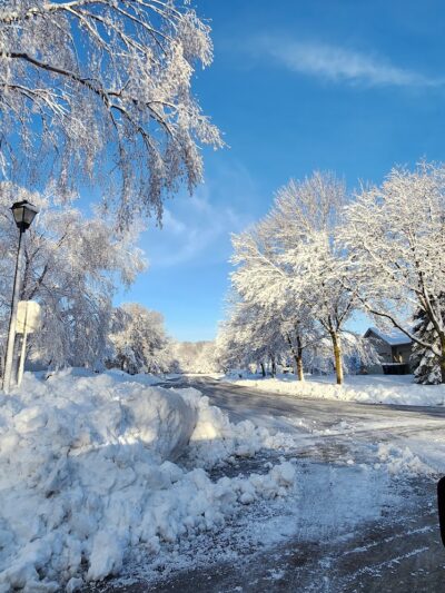 Daisy Knoll Park - Farmington, MN