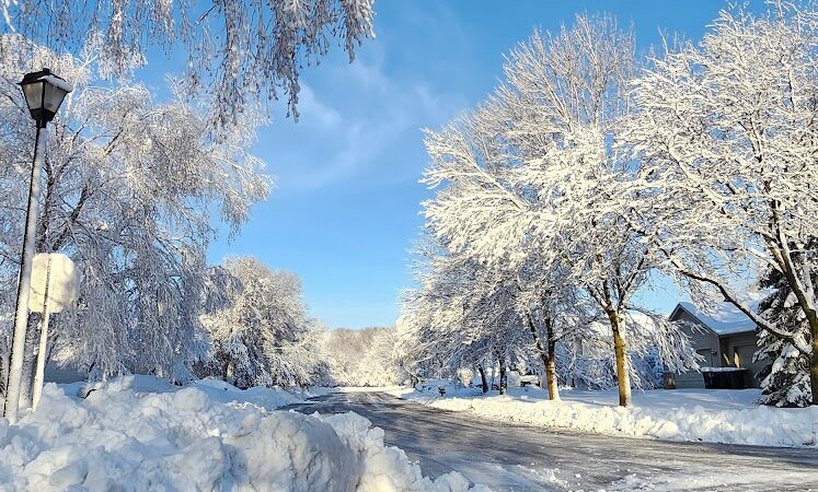 Daisy Knoll Park - Farmington, MN