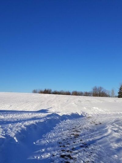 Daisy Knoll Park - Farmington, MN