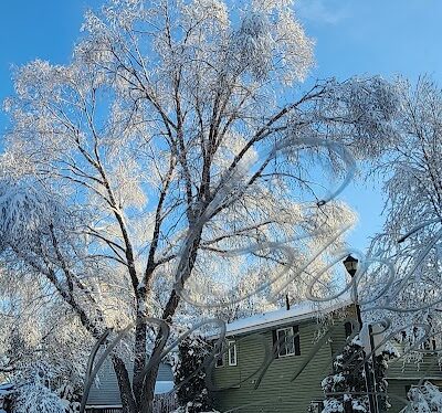 Daisy Knoll Park - Farmington, MN