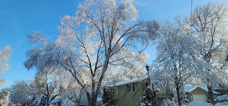 Daisy Knoll Park - Farmington, MN