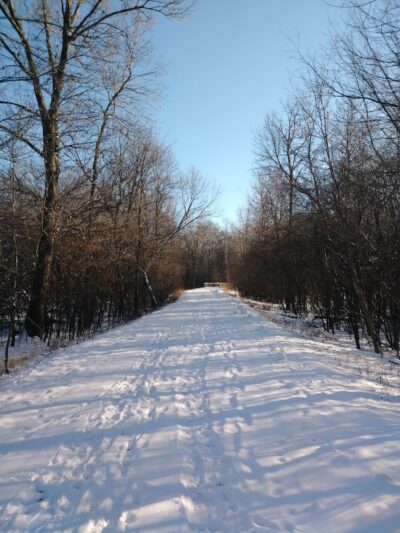 Farmington Preserve Park - Farmington, MN
