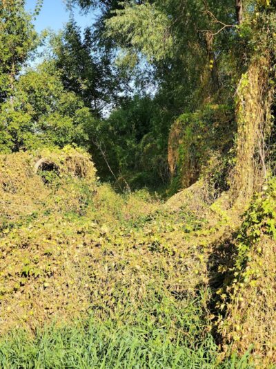 Farmington Preserve Park - Farmington, MN