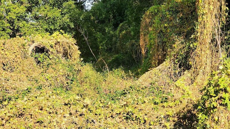 Farmington Preserve Park - Farmington, MN