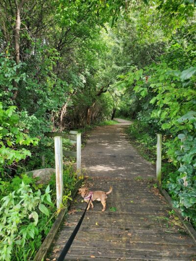 Meadow View Park - Farmington, MN