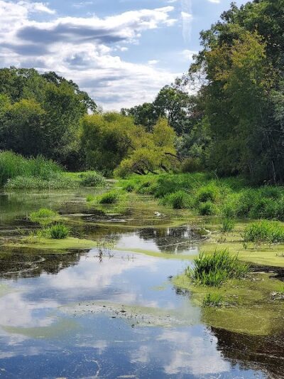 Meadow View Park - Farmington, MN