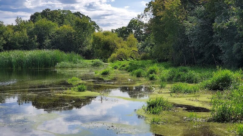 Meadow View Park - Farmington, MN