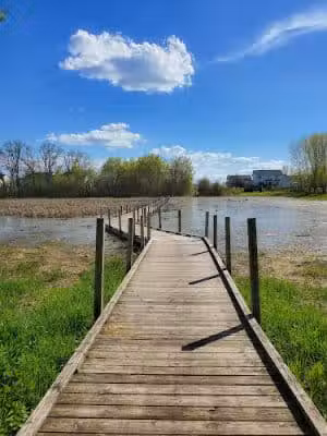 Meadow View Park - Farmington, MN