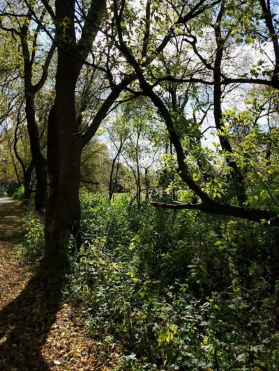 Meadow View Park - Farmington, MN