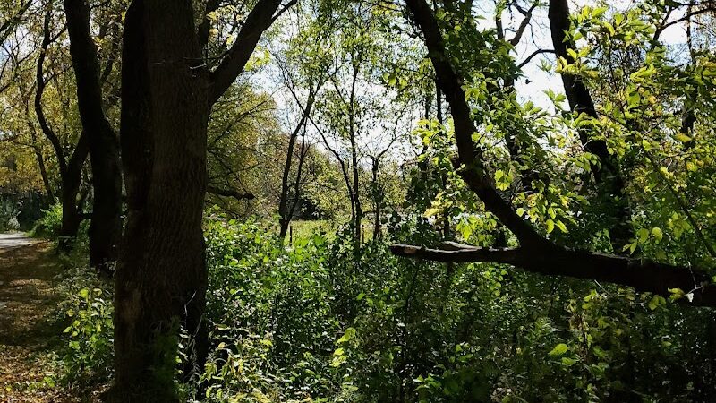 Meadow View Park - Farmington, MN