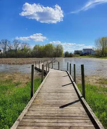 Meadow View Park - Farmington, MN