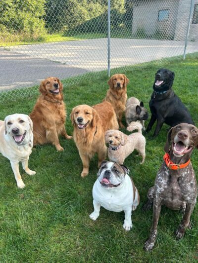 Steinmetz Stay and Play LLC - Farmington, MN