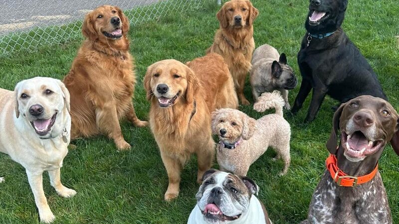 Steinmetz Stay and Play LLC - Farmington, MN