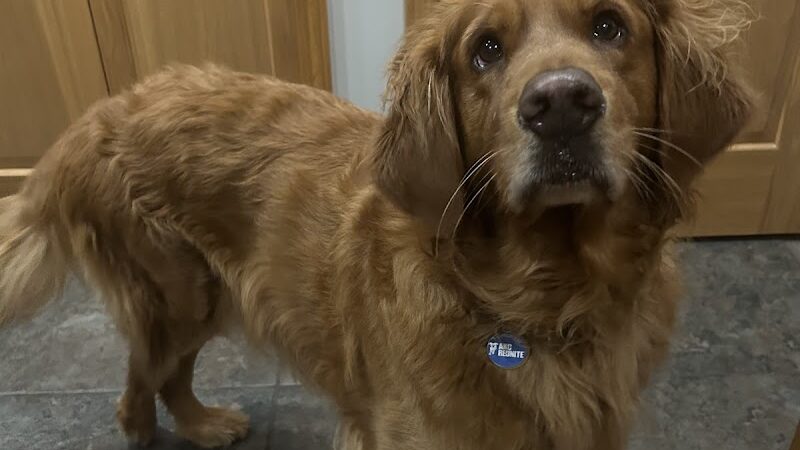 Steinmetz Stay and Play LLC - Farmington, MN