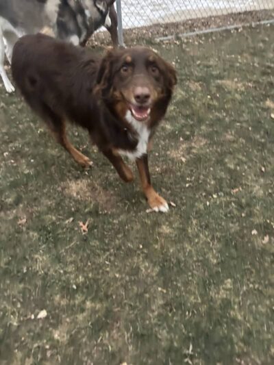 Steinmetz Stay and Play LLC - Farmington, MN