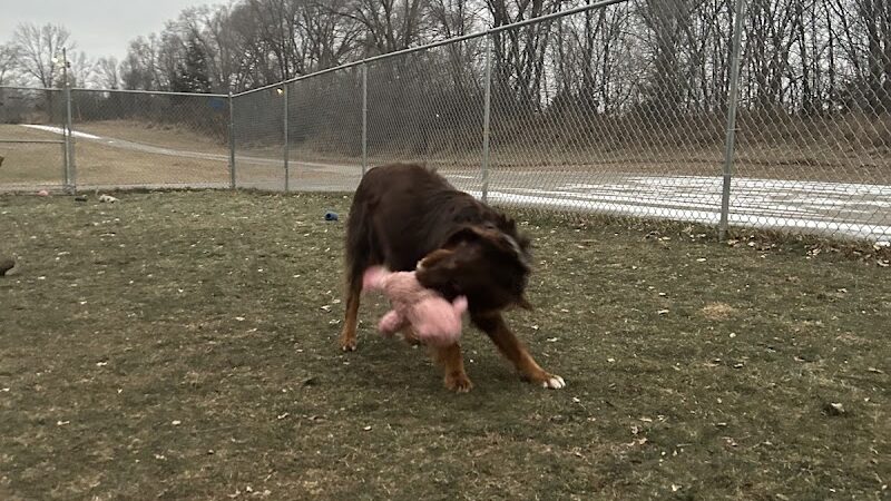 Steinmetz Stay and Play LLC - Farmington, MN